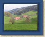 Welschensteinach 2006 082 * 1600 x 1200 * (677KB)